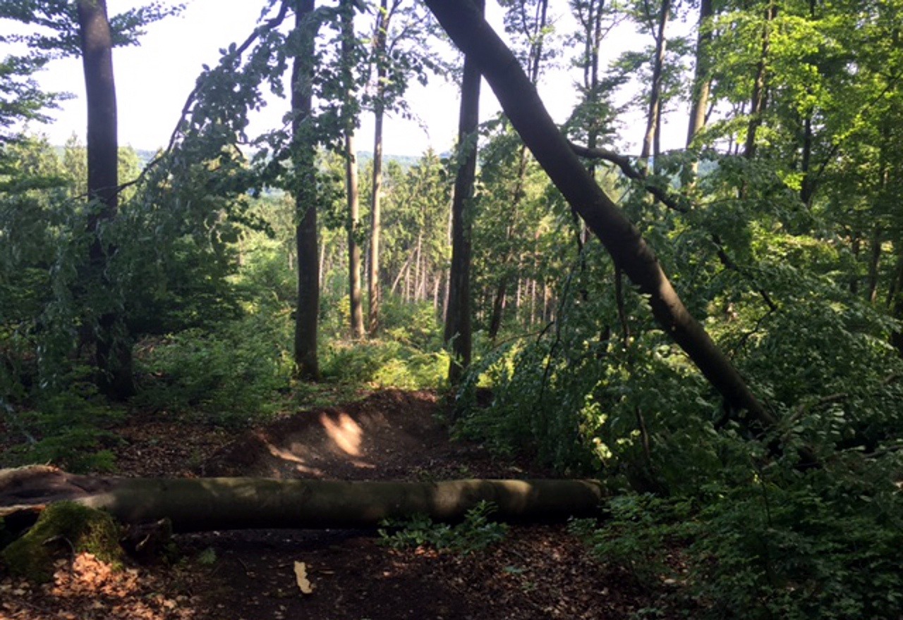 Sturmschäden auf dem Flowtrail Bad Endbach