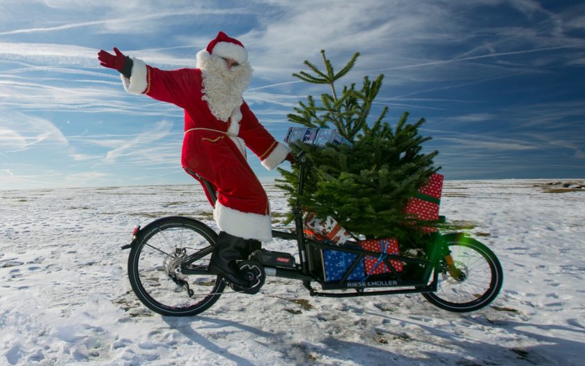 Weihnachtsbaum-Transport per Fahrrad