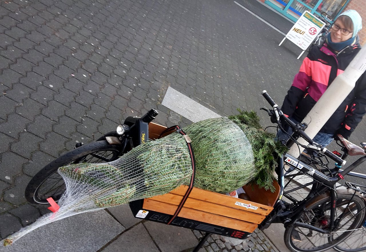 Weihnachtsbaum-Transport per Fahrrad