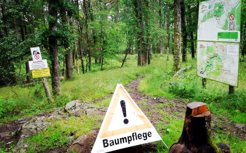 Gehölzarbeiten auf dem Flowtrail Bad Endbach. Foto: Marbaum