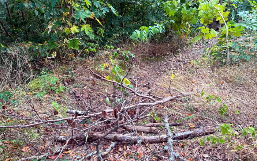 Mountainbike Freeride-Strecke am Schiffenberg