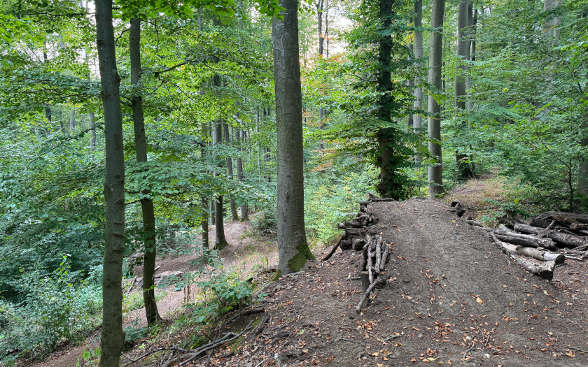 Mountainbike Freeride-Strecke am Schiffenberg
