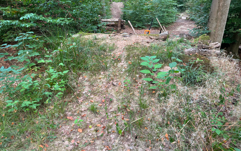 Mountainbike Freeride-Strecke am Schiffenberg