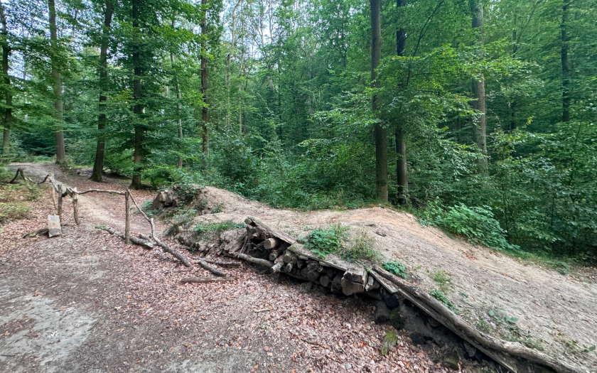 Mountainbike Freeride-Strecke am Schiffenberg
