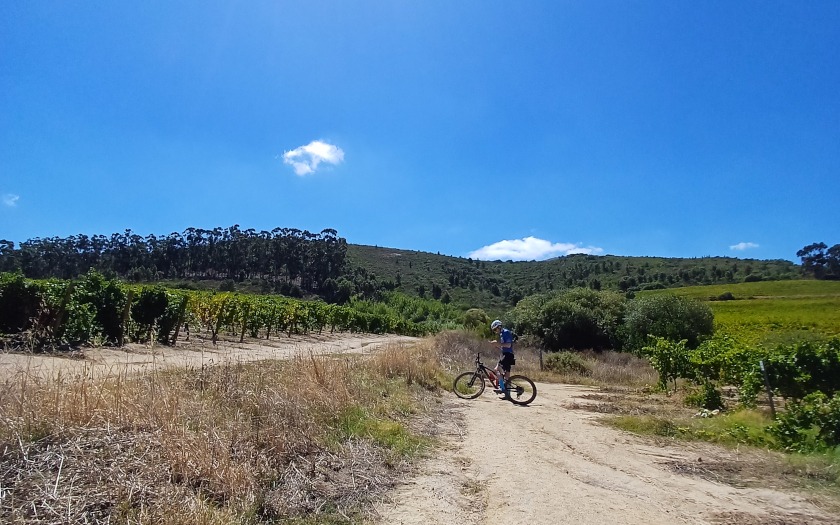 Ausblick auf das Mountainbike Etappenrennen Cape Epic in Südafrika