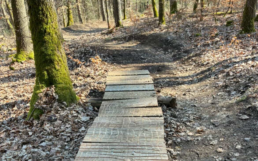 Vorbereitung Flowtrail Bad Endbach 2026