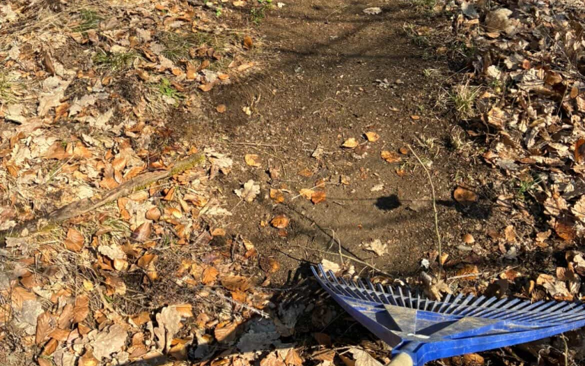 Vorbereitung Flowtrail Bad Endbach 2026