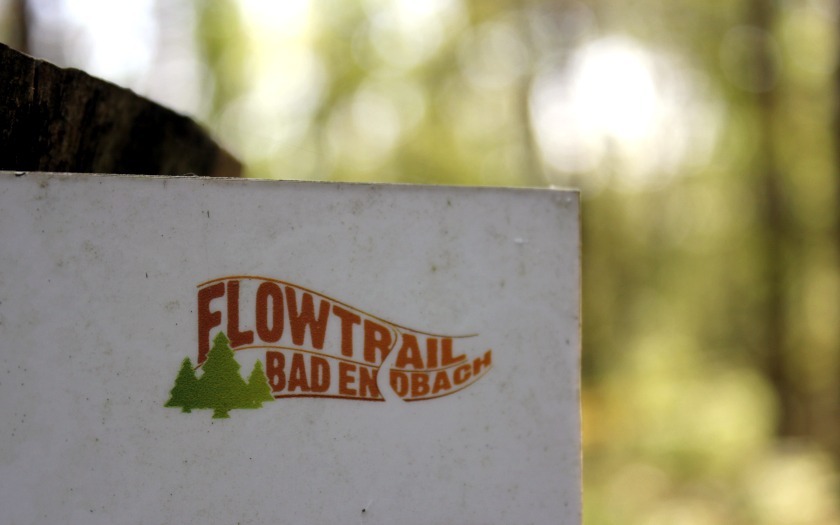 Flowtrail Bad Endbach