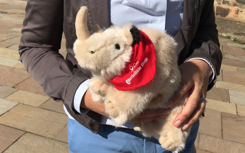 Wollnashorn "Wolli", das Maskottchen der Oberhessischen Presse zum Stadtjubiläum Marburg800.