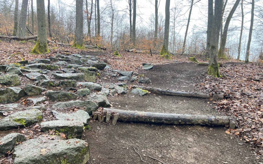 Flowtrail Bad Endbach